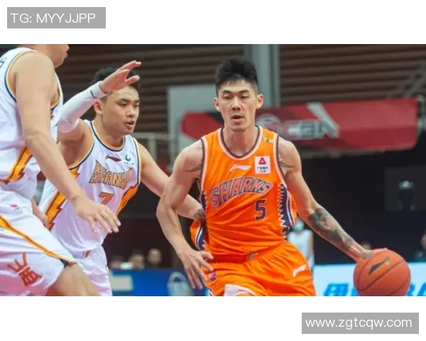 刘铮的奋斗历程与篮球梦想如何在风雨中绽放光彩