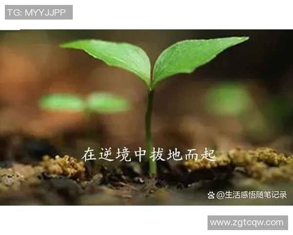李添荣：在新时代背景下的创新创业之路与个人成长探索